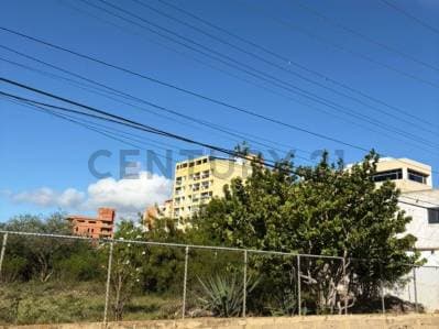 Terreno en Calle Fermin detras del Hotel Bella Vista - Photo 5