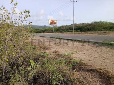 TERRENO EN VENTA. CERCA DE PLAYA ZARAGOZA. PEDROGONZALEZ.ISLA DE MARGARITA. - Photo 3
