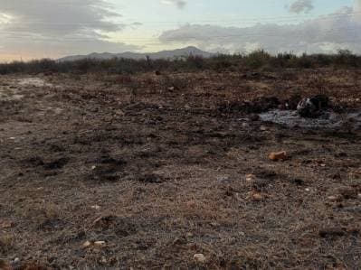 Terreno para desarrollo Campestre, El Datil, Isla de Margarita - Photo 6
