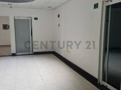 Local con cuatro Oficinas privadas, recepción, baño y cocina tipo Kitchenette - Photo 3