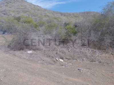 TERRENO MULTIPROPOSITO EN APOSTADERO,ISLA DE MARGARITA - Photo 2