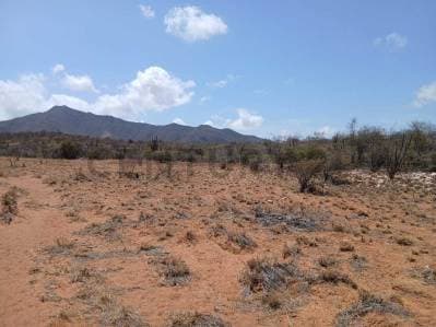 TERRENO TAGUANTAR - Photo 2