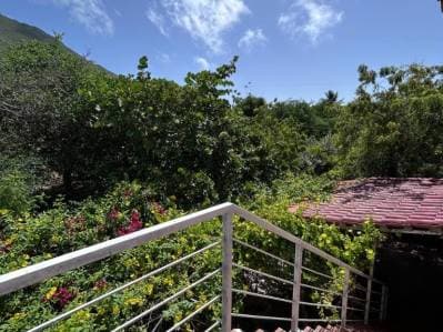 Terreno con Casa con apartamentos a pie de montaña en Guacuco - Photo 1