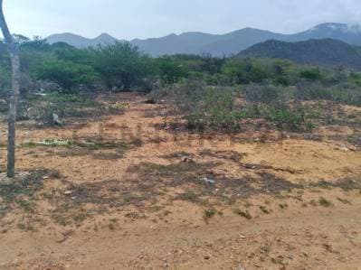 LOTE DE TERRENO PLANO UBICADO EN SAN ANTONIO, MUNICIPIO GARCIA - Photo 1