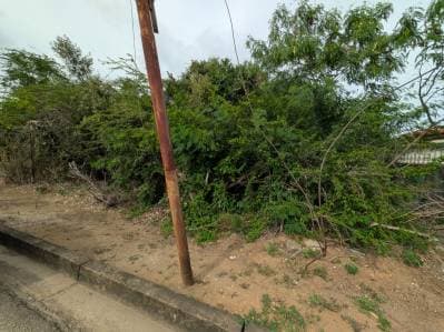 PARCELA DE TERRENO EN LA ASUNCION - Photo 6