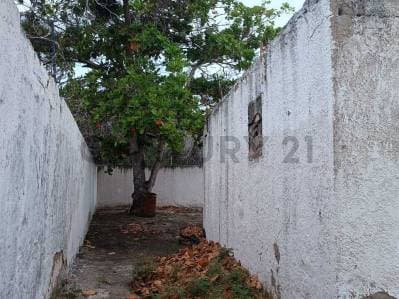 Local comercial en alquiler con proyecto para Colegio - Photo 6
