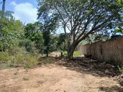 TERRENO CON BIENHECHURÍA - Photo 5