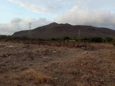 Terreno para desarrollo Campestre, El Datil, Isla de Margarita - Photo 3
