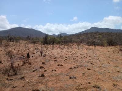 TERRENO TAGUANTAR - Photo 6