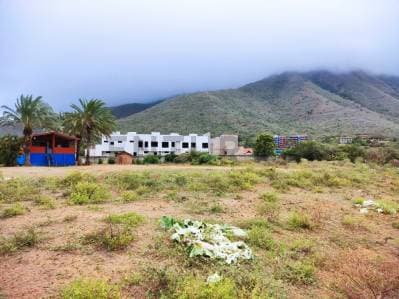 Venta de Finca con Terreno Fértil y Potencial Residencial en Guarame - Photo 2