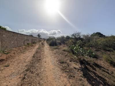 Terreno en el Cardón ideal para desarrollo de proyecto en Antolín del Campo