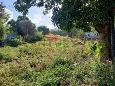 TERRENO CERCA DEL MAR, SECTOR LOMA DE GUERRA, ISLA DE MARGARITA - Photo 1