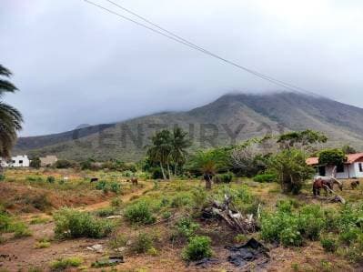 Venta de Finca con Terreno Fértil y Potencial Residencial en Guarame - Photo 6