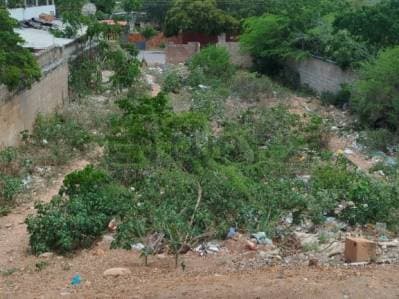 Terreno con flujo comercial Juan Griego, Estado Nueva Esparta - Photo 6