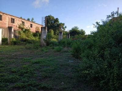 En venta terreno con proyecto inmobiliario iniciado en Palo Sano La Asuncion - Photo 5