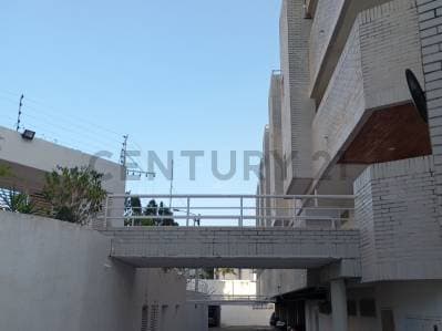 Apartamento en planta baja con Terraza en Playa el Angel - Photo 3
