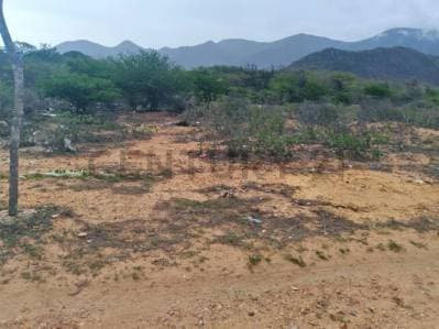 LOTE DE TERRENO PLANO UBICADO EN SAN ANTONIO, MUNICIPIO GARCIA - Photo 5