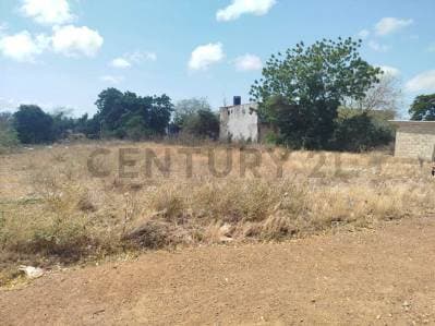 Terreno Ell Espinal , isla de Margarita - Photo 1