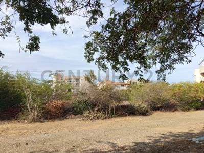 Terreno turístico Playa El Yaque - Photo 4