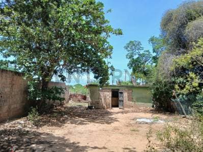 TERRENO CON BIENHECHURÍA - Photo 2