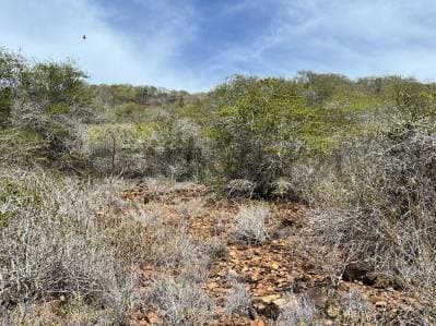 Venta terreno con vista al mar en Pampatar - Margarita - Photo 2