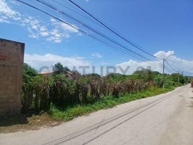 TERRENO EN VENTA A SOLO 5 MIN DE PLAYA GUACUCO - Photo 6