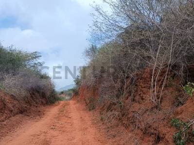 Disponible para la venta terreno con una gran extensión en la isla de Margarita - Photo 1
