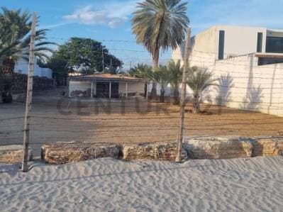 Terreno a Orilla del mar con playa privada en Playa el Yaque - Photo 5