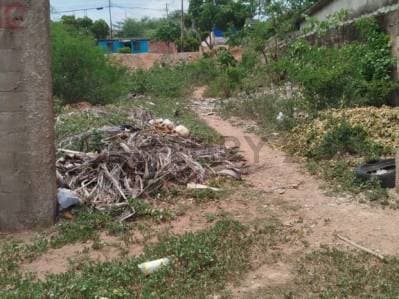 Terreno con flujo comercial Juan Griego, Estado Nueva Esparta - Photo 1