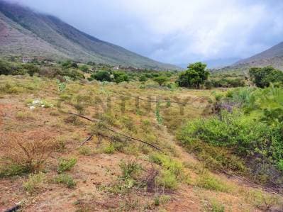 Venta de Finca con Terreno Fértil y Potencial Residencial en Guarame - Photo 1