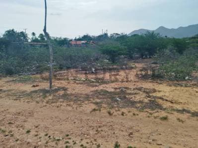 LOTE DE TERRENO PLANO UBICADO EN SAN ANTONIO, MUNICIPIO GARCIA - Photo 3
