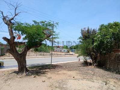 TERRENO CON BIENHECHURÍA - Photo 3