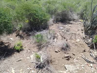 Terreno en Colina de Cimarrón, con excelente ubicación para admirar el mar. - Photo 1