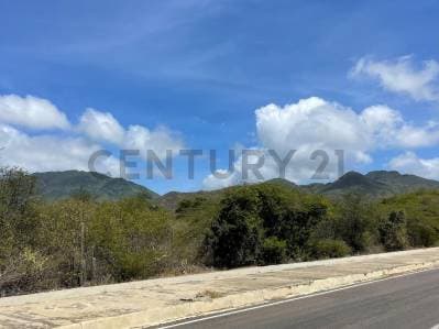 terreno en Pedro Gonzalez cerca de la playa, Isla de Margarita - Photo 1