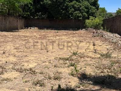 Oportunidad: en la Asuncion 3 viviendas con terreno a pie de calle - Photo 6