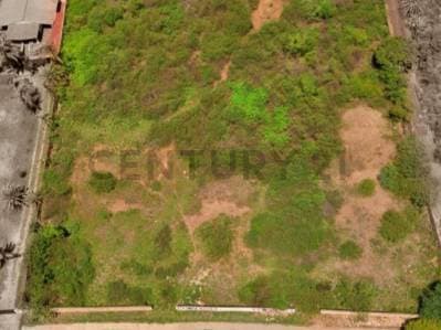 TERRENO TAPIADO USO TURISTICO RESIDENCIA EN EL VALLE, ISLA DE MARGARITA - Photo 2