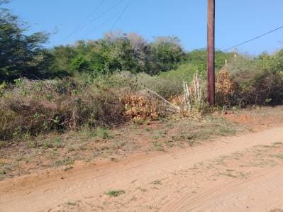Terreno en Aricagua 828m2 - Photo 5