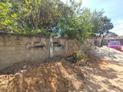 , Terreno Calle Las Margaritas,Margarita - Photo 5