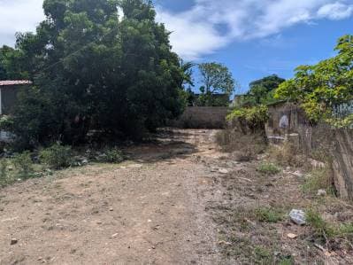Excelente Parcela en venta en sector Conuco Viejo - Photo 5