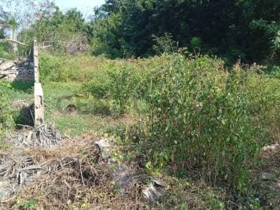 Terreno Residencial en Guarame - Photo 4