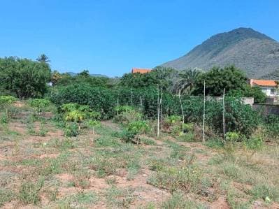 Terreno en excelente zona turística Guacuco - Photo 6