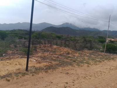 LOTE DE TERRENO PLANO UBICADO EN SAN ANTONIO, MUNICIPIO GARCIA - Photo 2