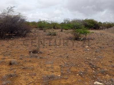 Terreno av. Juan Bautista Arismendi, Isla de Margarita - Photo 1